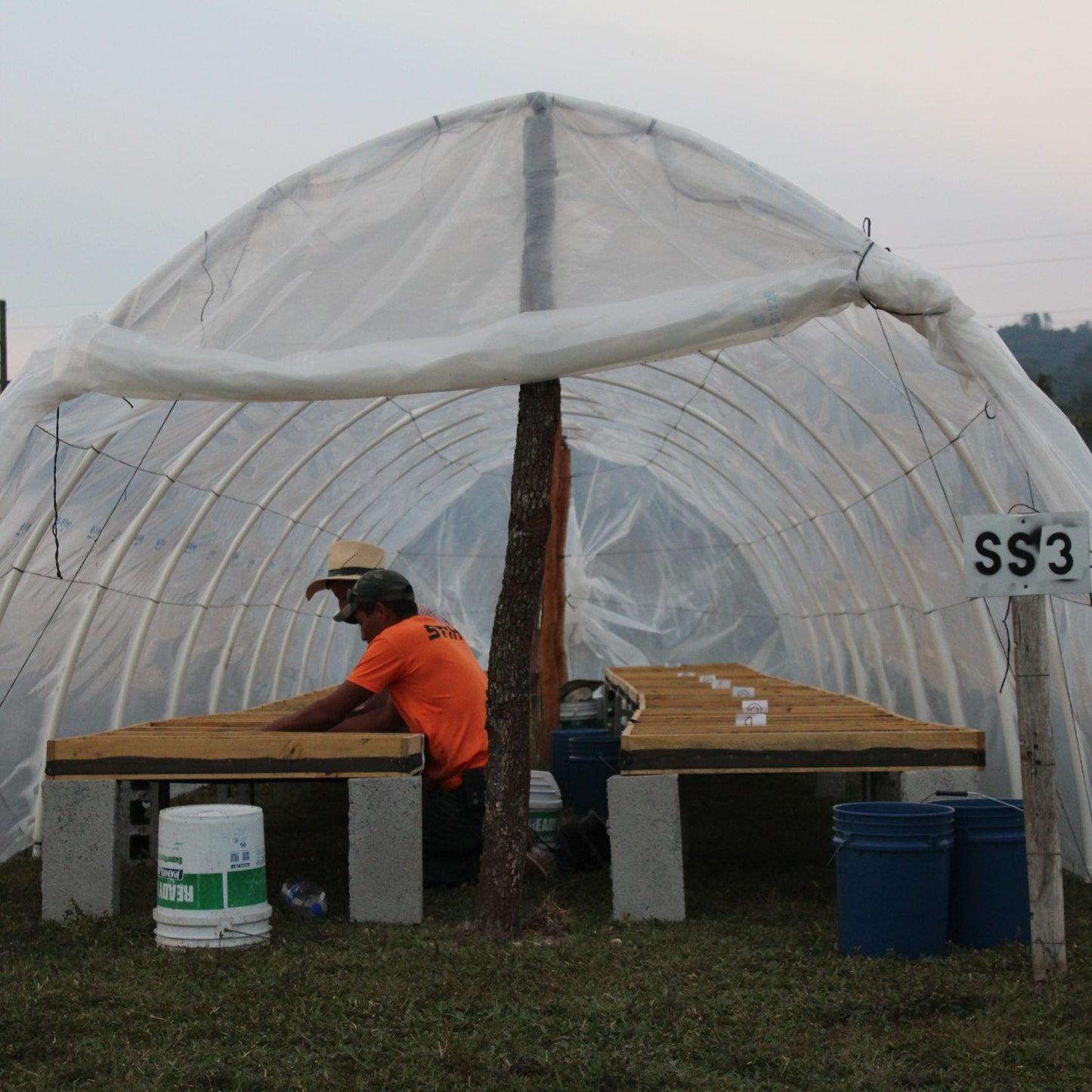 Person sitting under a large white tent-like structure with 'SS3' on a grassy area.