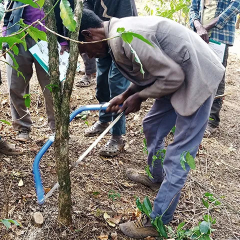 Person working with a tool on a tree in a forest setting