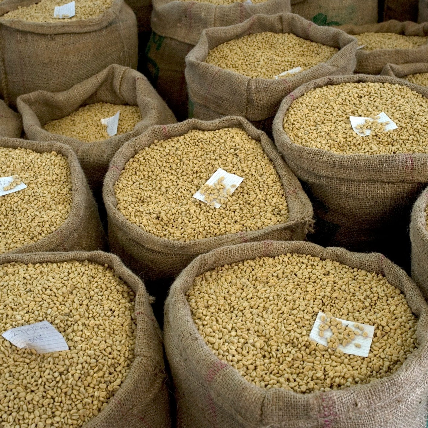 Bags of beans with visible labels on a wooden surface