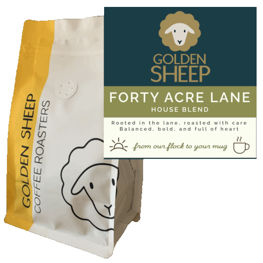Forty Acre Lane
