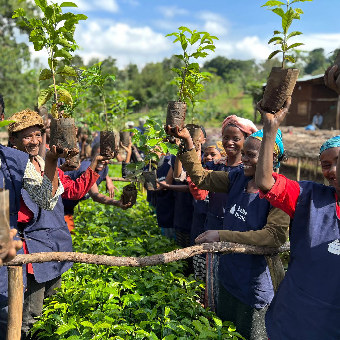 Group of people holding saplings together outdoors with a clear sky.