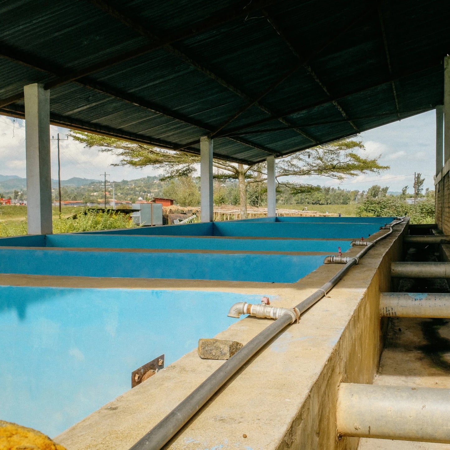 Outdoor pool area with blue water, concrete steps, and brick wall.
