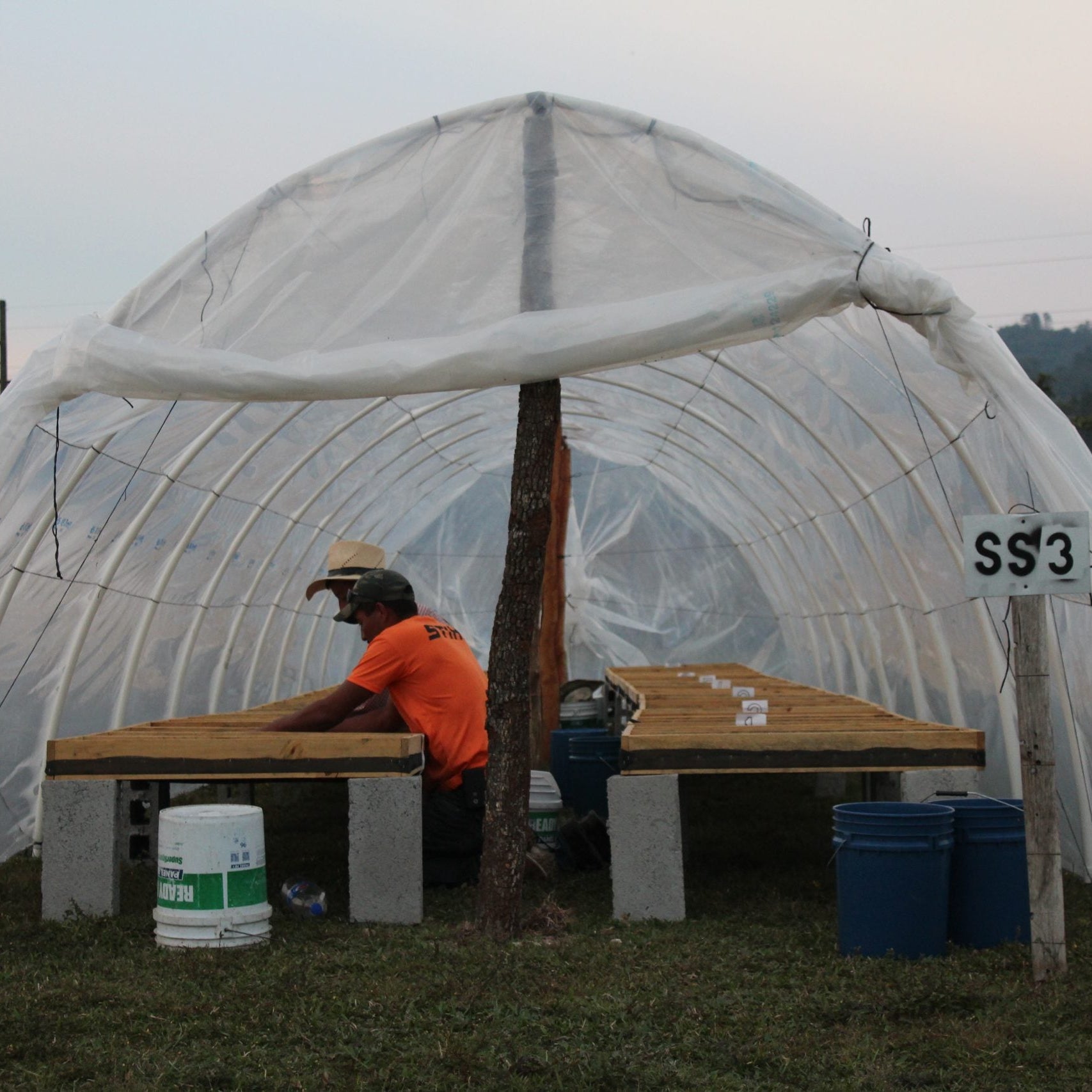 Person sitting under a large white tent-like structure with 'SS3' on a grassy area.