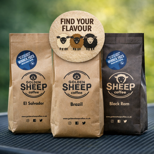 Three Golden Sheep Coffee bags with a decorative disc in the center on a blurred green background.